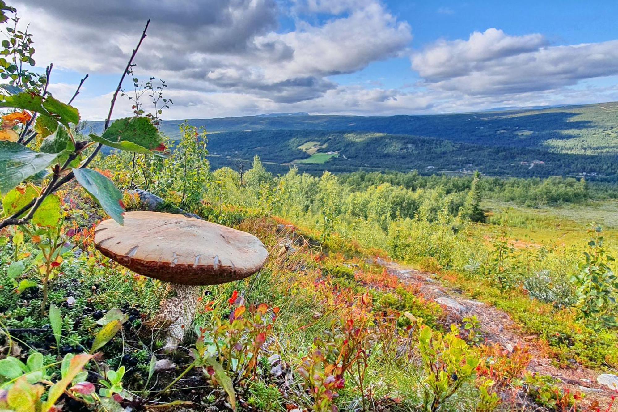 Dagali Fjellpark Apartman Kültér fotó